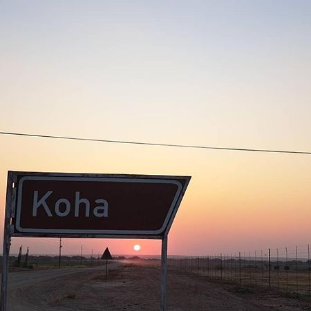 Koha Guesthouse Мариентал Екстериор снимка