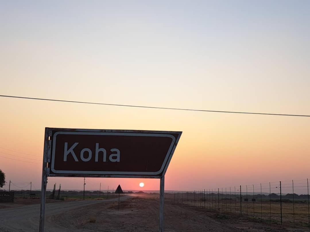 Koha Guesthouse Мариентал Екстериор снимка